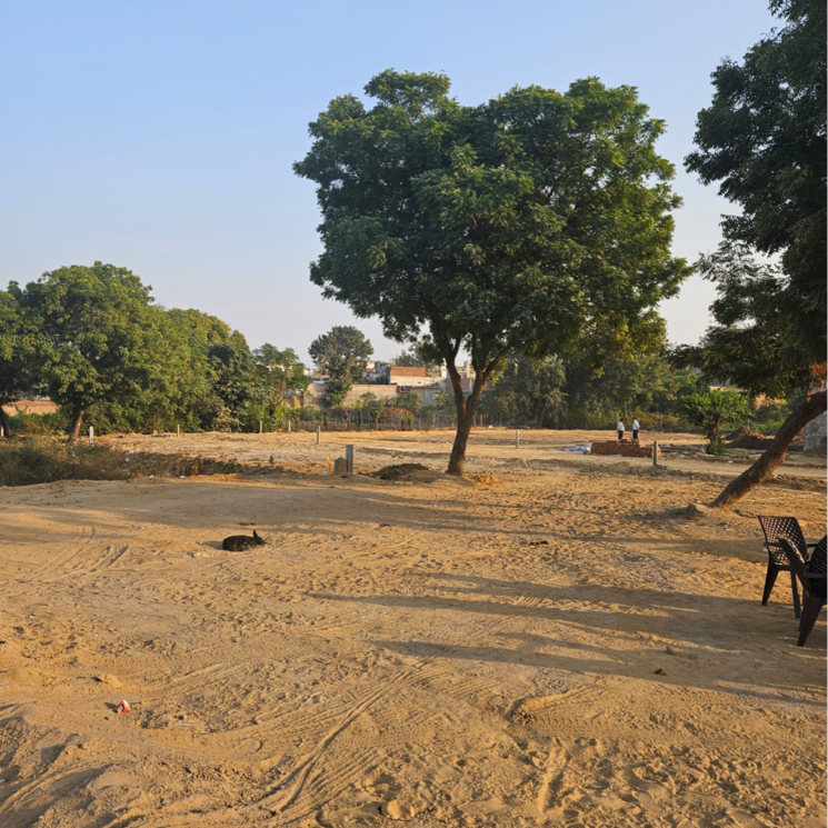 undefined, sultanpur  100 Sq.Yd. Plot In Sultanpur Gurgaon 8029137