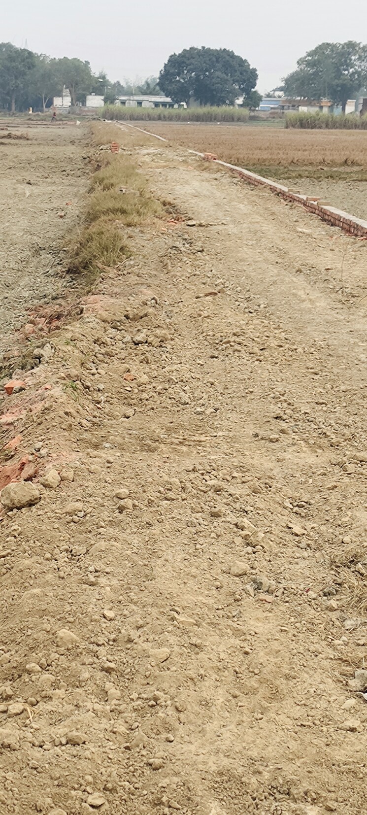 undefined, khalispur  1360 Sq.Ft. Plot In Khalispur Varanasi 8029168