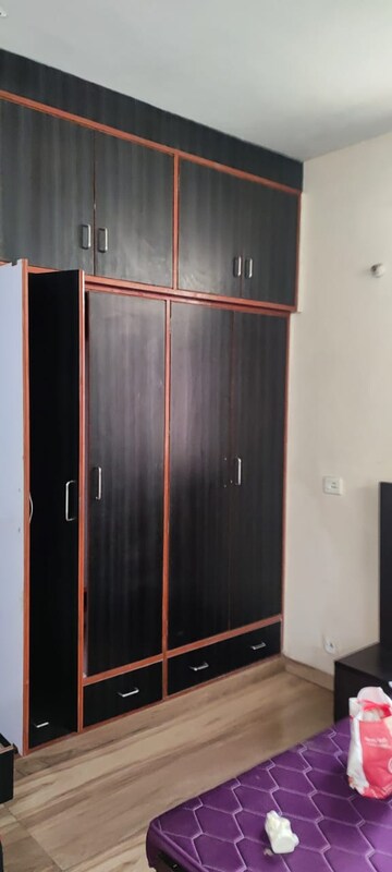 2 BHK Apartment For Rent in Gomti Nagar