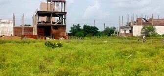 Plot For Resale in Neelkanth Colony Bhopal  8029294