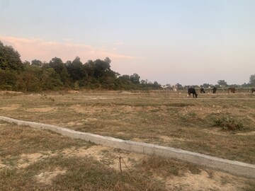 Plot Area in  Plot at Shimla Bypass Road – for Sale