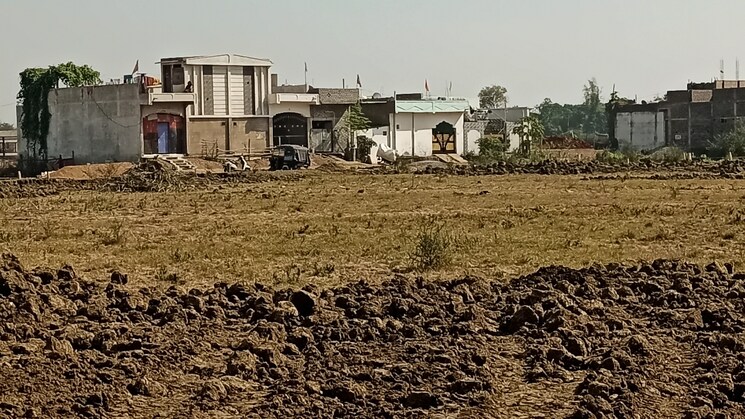 undefined, kandul  750 Sq.Ft. Plot In Kandul Raipur 8029475