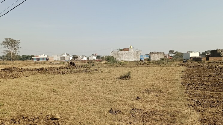 undefined, kandul  800 Sq.Ft. Plot In Kandul Raipur 8029503