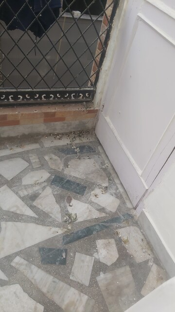 Balcony in 1.5 BHK Builder Floor at Mayur Vihar – for Rent