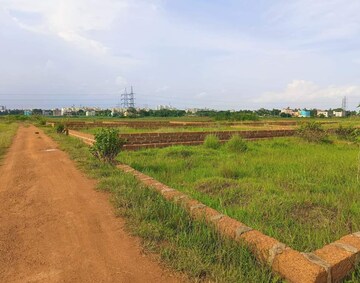 Plot Area in  Plot at Patrapada – for Sale
