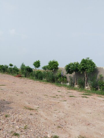 Plot Area in  Plot at Nagalia – for Sale