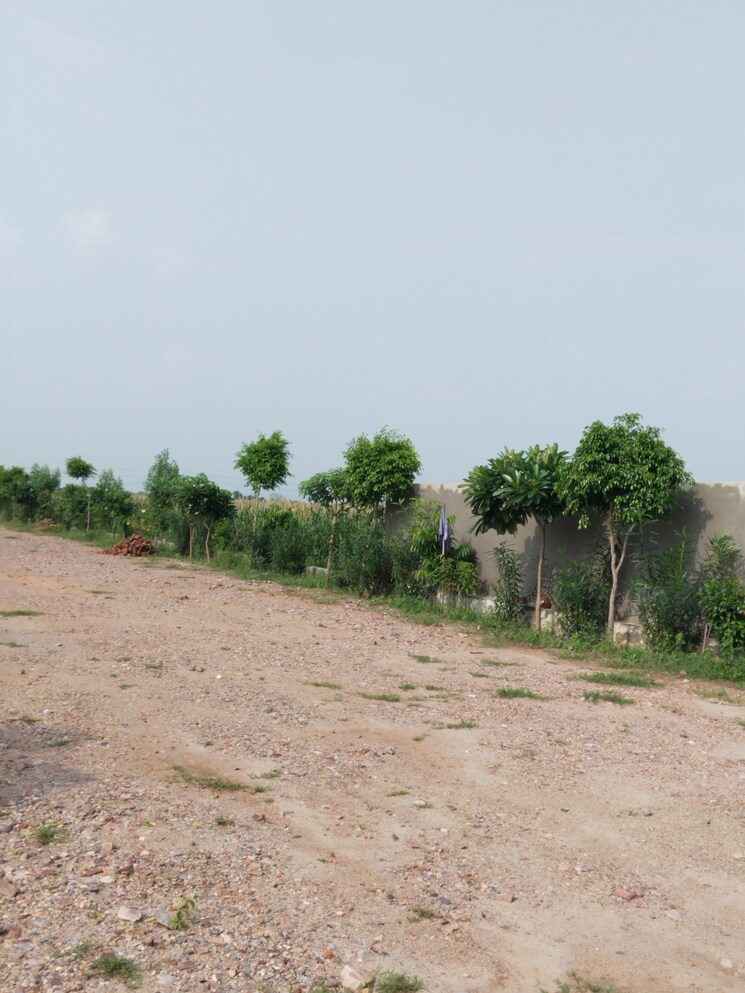 undefined, nagalia  200 Sq.Yd. Plot In Nagalia Palwal 8029881