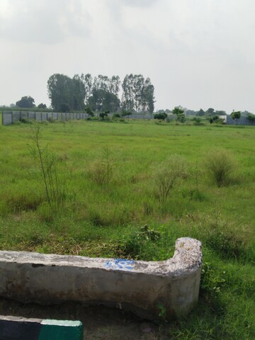 Plot Area in  Plot at Nagalia – for Sale
