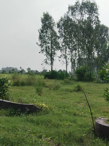 Plot Area in  Plot at Nagalia – for Sale