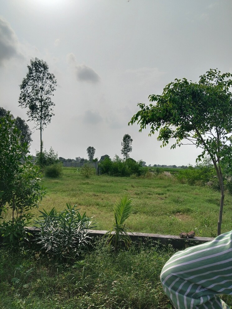 undefined, nagalia  200 Sq.Yd. Plot In Nagalia Palwal 8029881