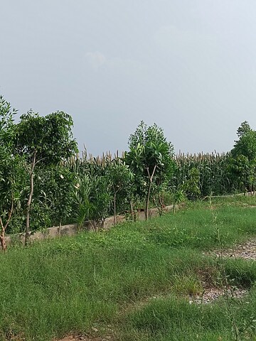 Plot Area in  Plot at Nagalia – for Sale