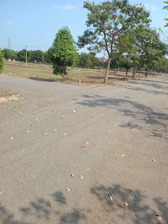 Plot For Resale in Rivers Edge Natures Greens Sadashivpet Hyderabad  8030019