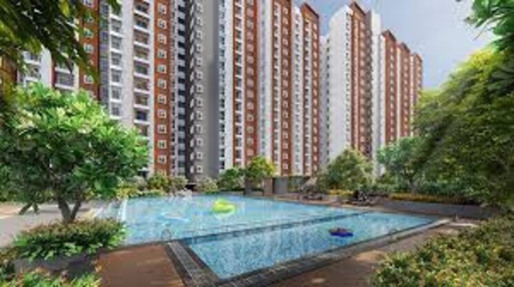 Swimming Pool, provident-botanico 2 Bedroom 1261 Sq.Ft. Apartment In Whitefield Bangalore 8030049