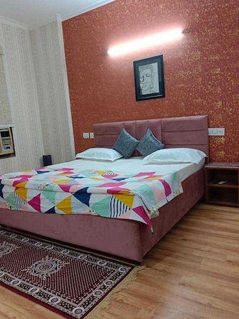 2 BHK Apartment For Rent in Sector 80 Mohali  8030053