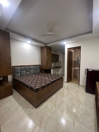 1 BHK Apartment For Rent in Ambience Island Lagoon National Media Center Gurgaon  8030132