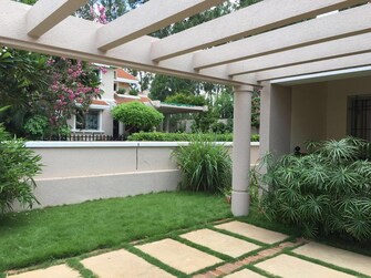 3 BHK Villa For Rent in Sobha Malachite Jakkur Bangalore  8030150