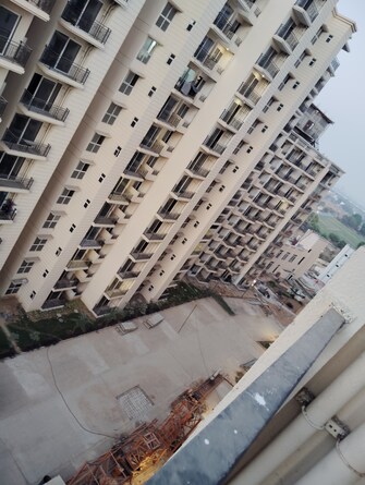 2 BHK Apartment For Rent in Signature Global Proxima Phase 2 Sector 89 Gurgaon  8030273