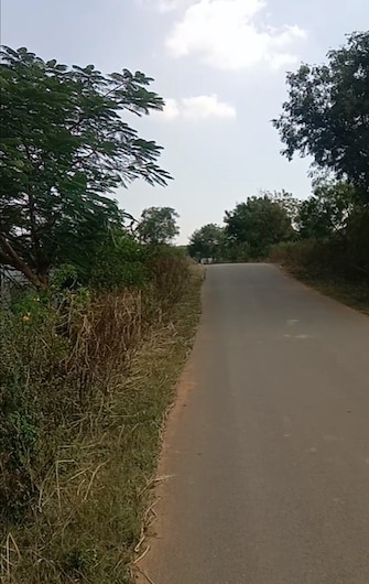 Commercial Land 1 Acre For Resale in Mansanpalle Hyderabad  8030285