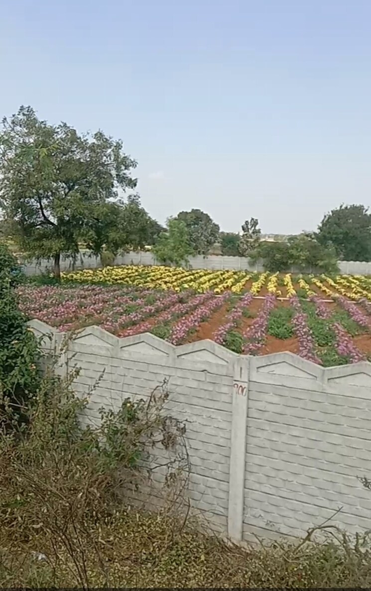 undefined, mansanpalle Commercial Land 1 Acre In Mansanpalle Hyderabad 8030285