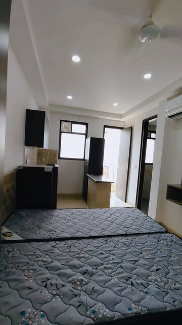 Living Room in 2 BHK Builder Floor at Ansal Plaza Sector-23, Sector 23 – for Rent