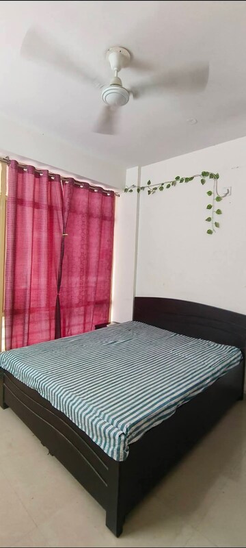 Bedroom in 2 BHK Builder Floor at Ansal Plaza Sector-23, Sector 23 – for Rent