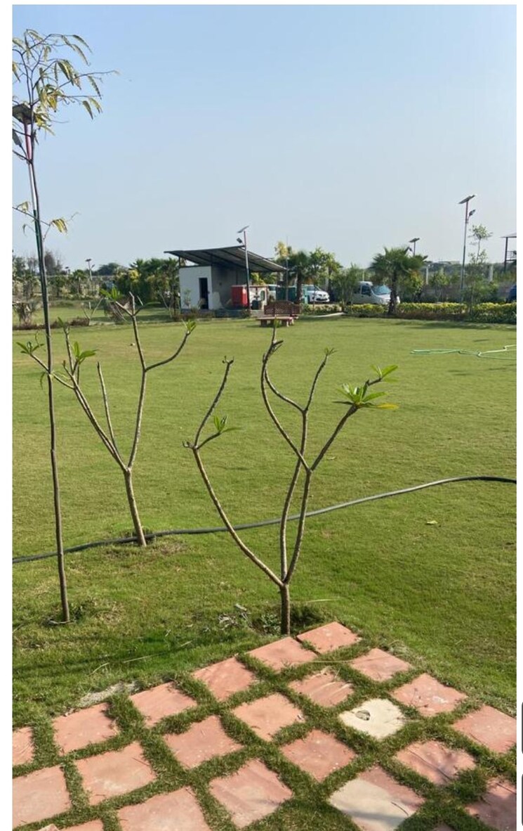 undefined, chattarpur  2000 Sq.Ft. Plot In Chattarpur Delhi 8030480