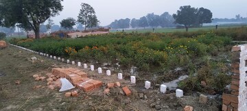 Plot Area in  Plot at Rewa Road – for Sale