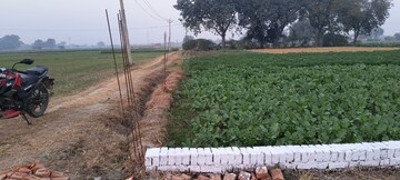 Plot Area in  Plot at Rewa Road – for Sale