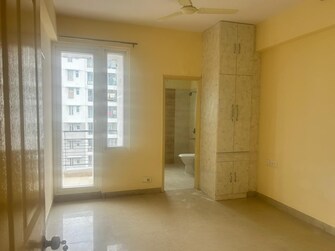 2 BHK Apartment For Rent in Amrapali Sapphire Phase-II Sector 45 Noida  8030536