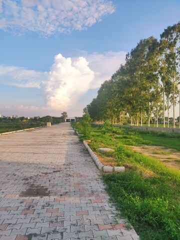 Plot Area in  Plot at Ambala Highway – for Sale