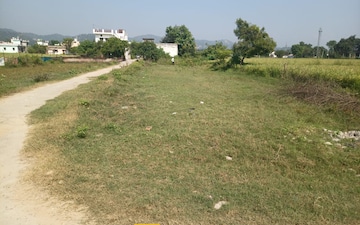 Plot For Sale in Tadepalli