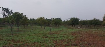  Plot – Exterior View View at Sherpur - for Sale