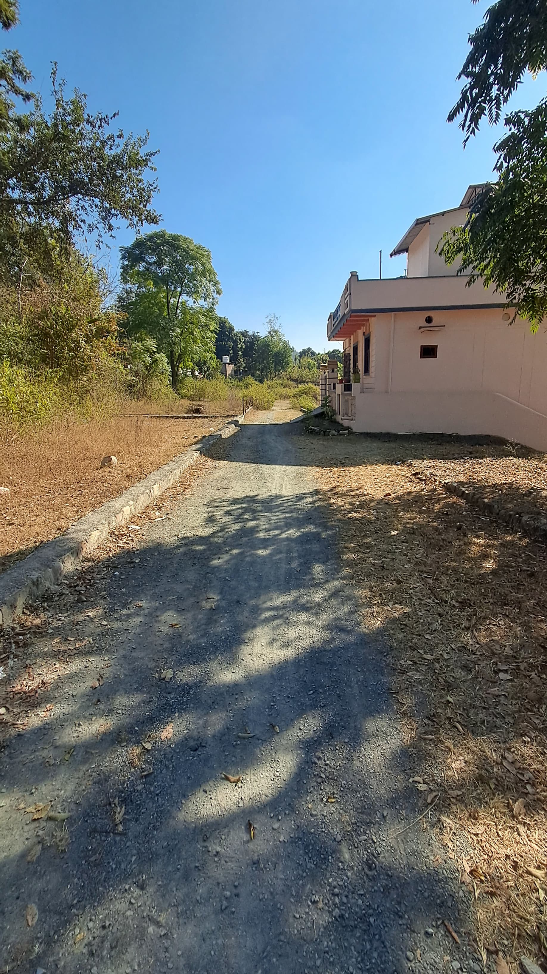 Plot For Sale in Sodasaruli Plot For Sale