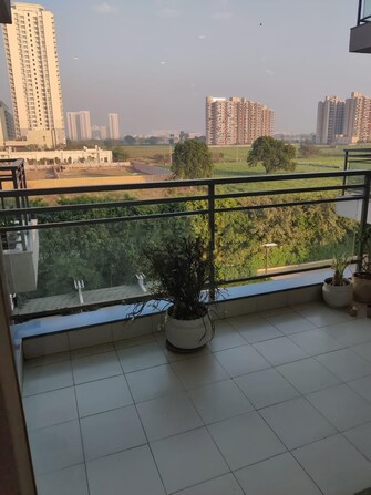 3 BHK Apartment For Rent in DLF The Ultima Sector 81 Gurgaon  8031078