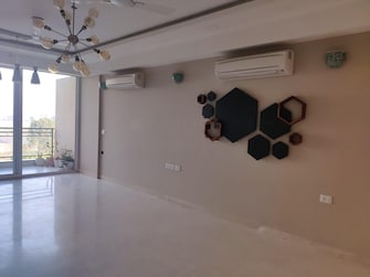 3 BHK Apartment For Rent in DLF The Ultima Sector 81 Gurgaon  8031100