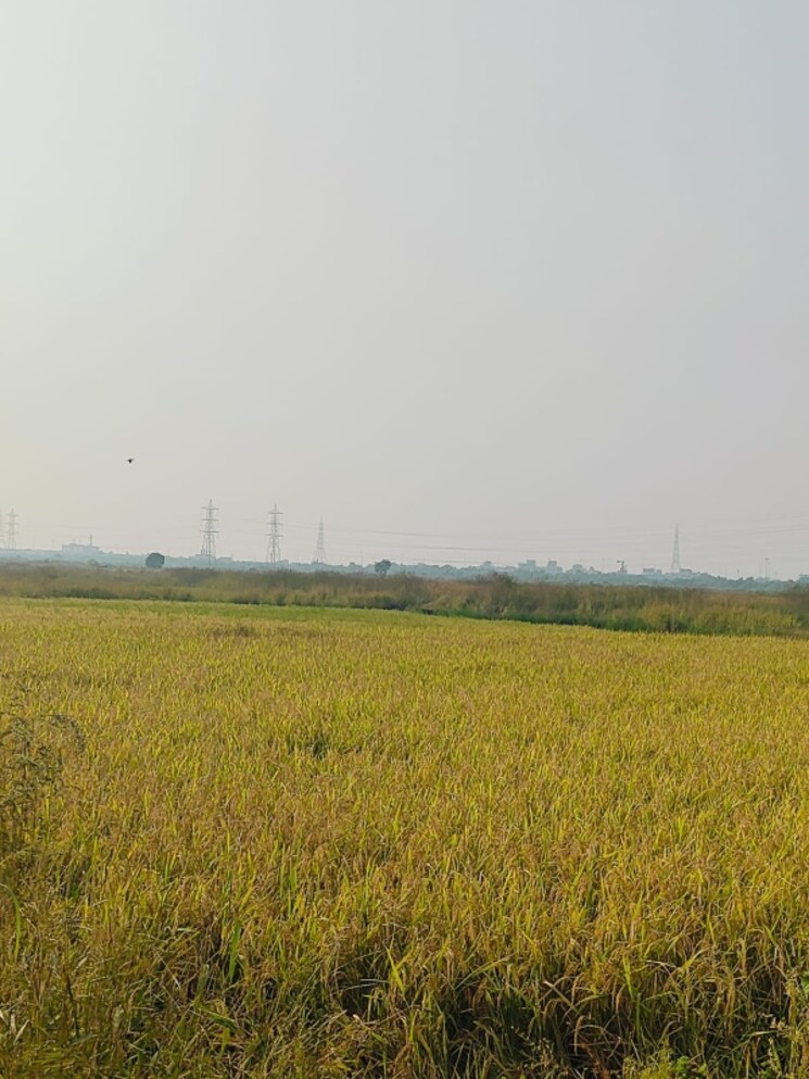 undefined, pali  1089 Sq.Ft. Plot In Pali Navi Mumbai 8031168