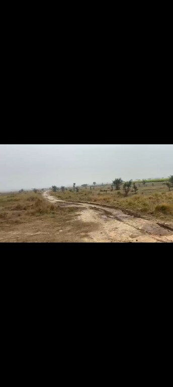 Plot For Resale in Jhajjar Road Gurgaon  8031289