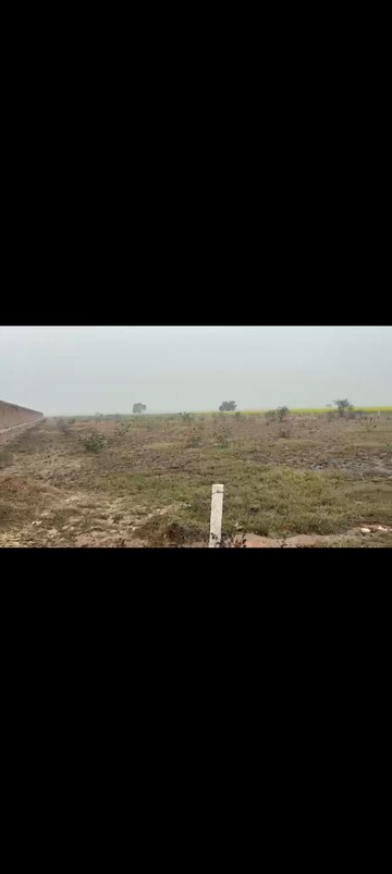 Plot Area in  Plot at Jhajjar Road – for Sale