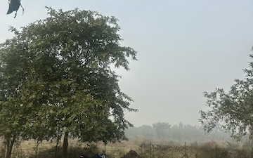 Plot For Sale in Sector 81