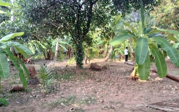 Plot For Sale in Krishna Colony