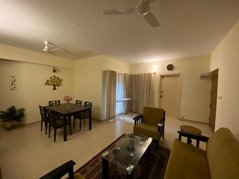 3 BHK Apartment For Rent in Regal Manor Richmond Town Bangalore  8031496