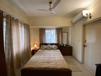 3 BHK Apartment For Rent in Regal Manor Richmond Town Bangalore  8031496