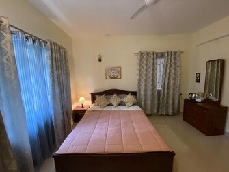 3 BHK Apartment For Rent in Regal Manor Richmond Town Bangalore  8031496