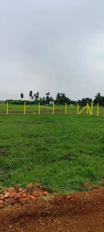 Plot For Resale in Ayanavaram Chennai  8031556