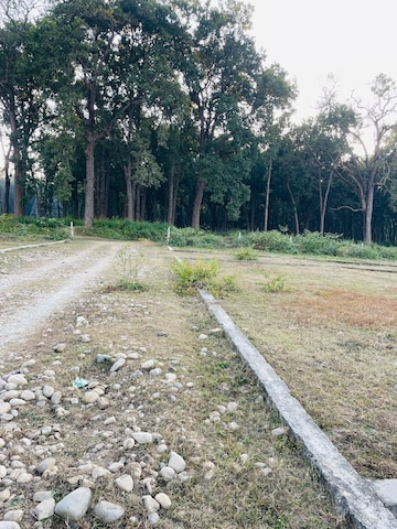 Plot For Resale in Shimla Bypass Road Dehradun  8031596