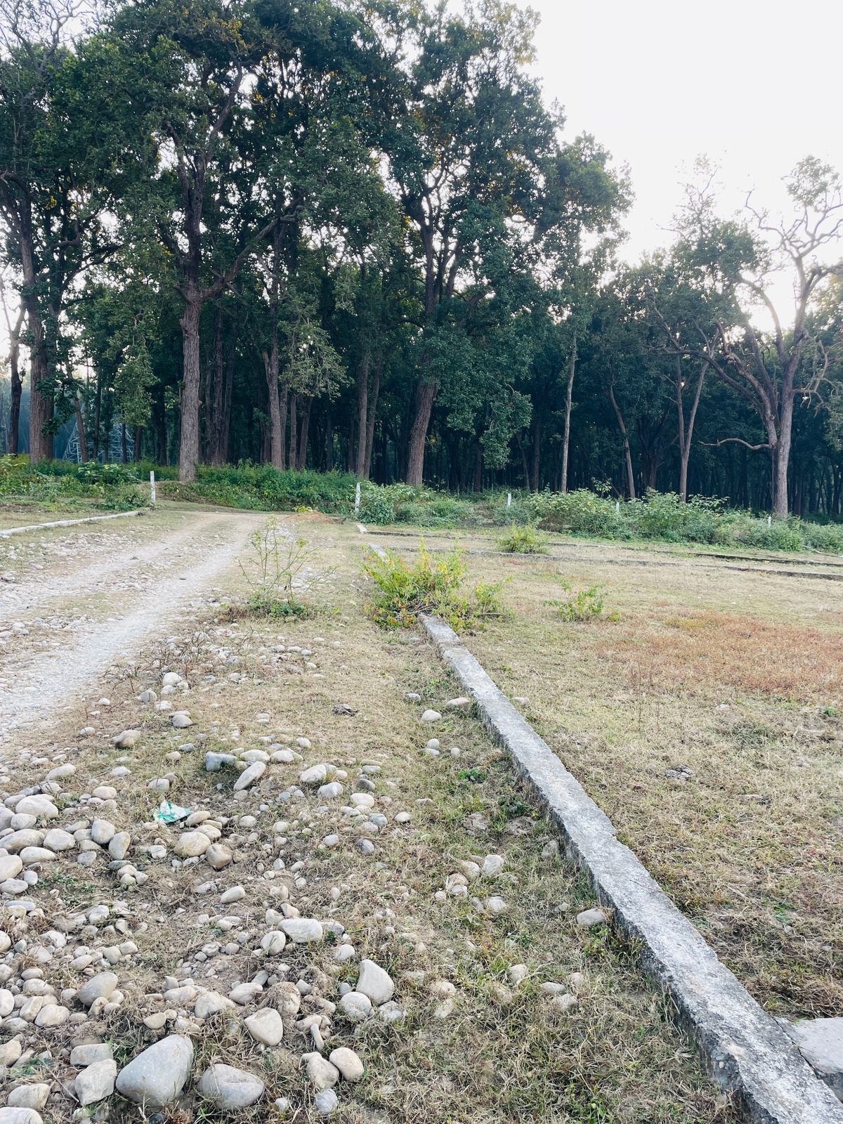 Plot For Sale in Bhakti Kunj