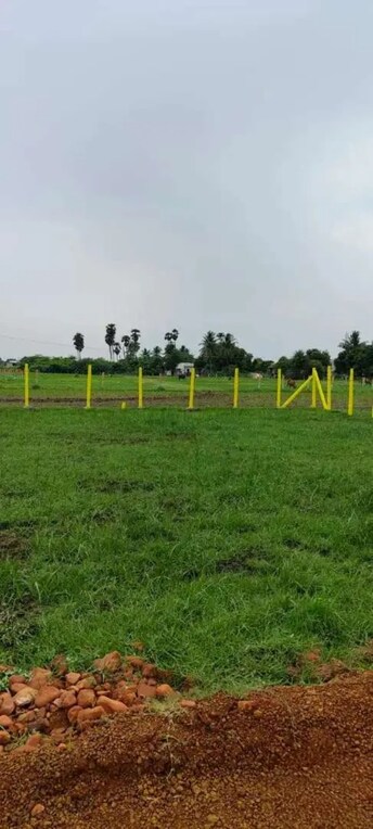 Plot For Resale in Ayanavaram Chennai  8031600