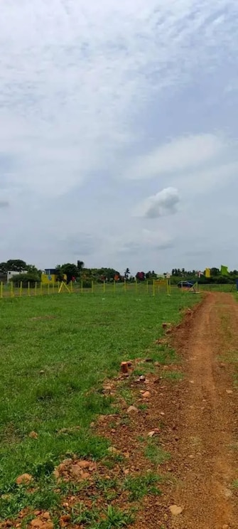 Plot For Resale in Ayanavaram Chennai  8031600