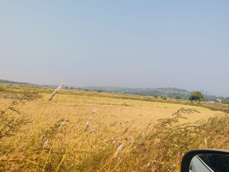 undefined, pali  1089 Sq.Ft. Plot In Pali Navi Mumbai 8031617