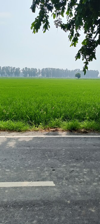 Commercial Land 5 Acre For Resale in Ganjbar Panipat  8031704